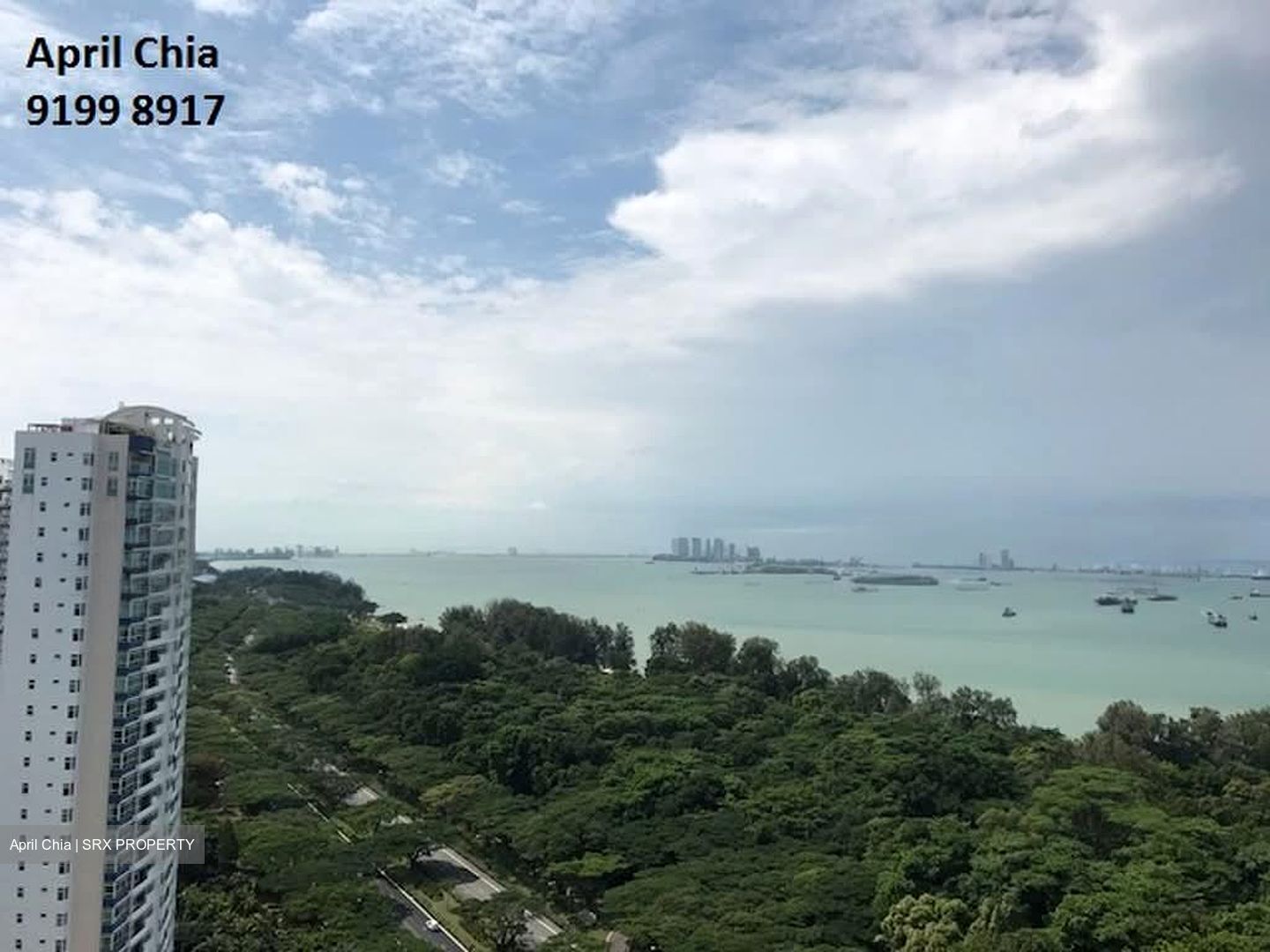 Bayshore Park (D16), Condominium #609109311
